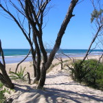 Frontal dune